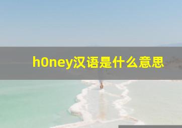 h0ney汉语是什么意思