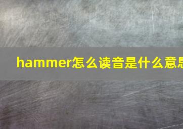 hammer怎么读音是什么意思