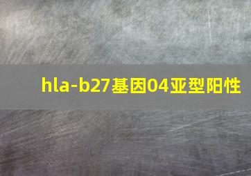 hla-b27基因04亚型阳性