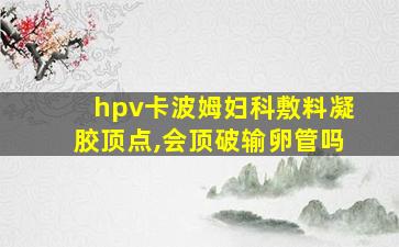 hpv卡波姆妇科敷料凝胶顶点,会顶破输卵管吗