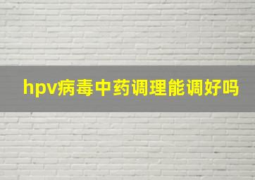 hpv病毒中药调理能调好吗