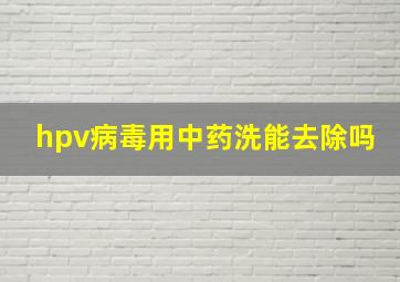 hpv病毒用中药洗能去除吗