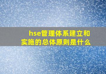 hse管理体系建立和实施的总体原则是什么