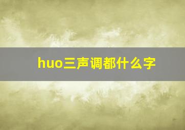 huo三声调都什么字