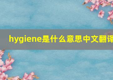 hygiene是什么意思中文翻译