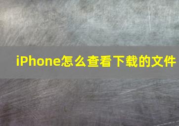 iPhone怎么查看下载的文件