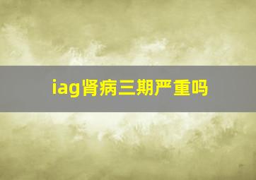 iag肾病三期严重吗