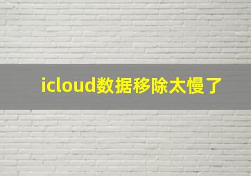 icloud数据移除太慢了