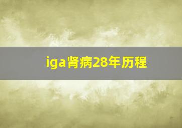 iga肾病28年历程