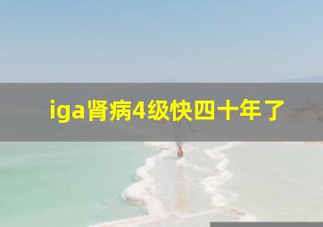 iga肾病4级快四十年了