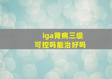 iga肾病三级可控吗能治好吗