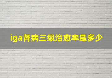 iga肾病三级治愈率是多少