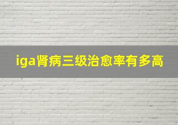 iga肾病三级治愈率有多高