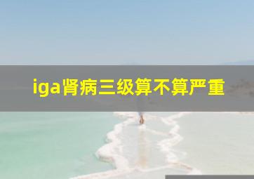 iga肾病三级算不算严重