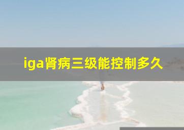 iga肾病三级能控制多久