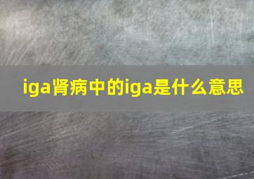 iga肾病中的iga是什么意思