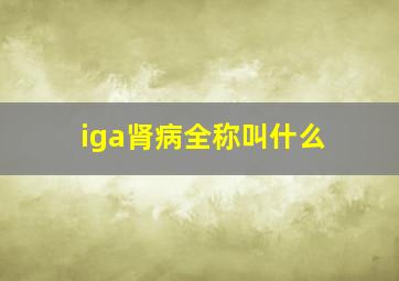 iga肾病全称叫什么