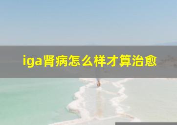 iga肾病怎么样才算治愈