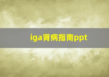 iga肾病指南ppt