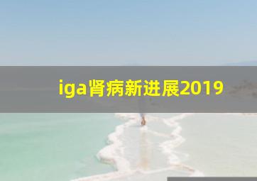 iga肾病新进展2019