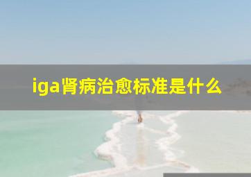 iga肾病治愈标准是什么