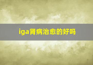 iga肾病治愈的好吗