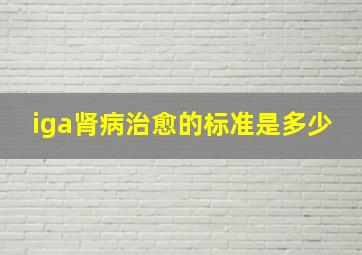 iga肾病治愈的标准是多少