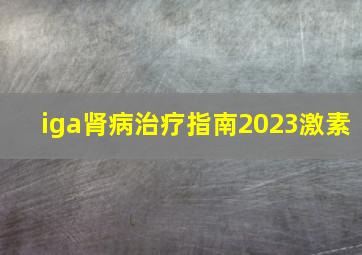 iga肾病治疗指南2023激素