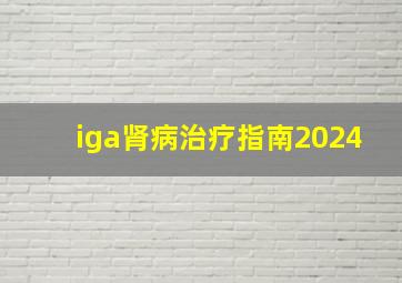 iga肾病治疗指南2024