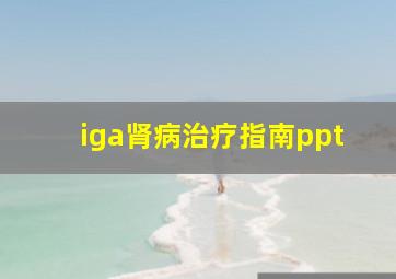 iga肾病治疗指南ppt