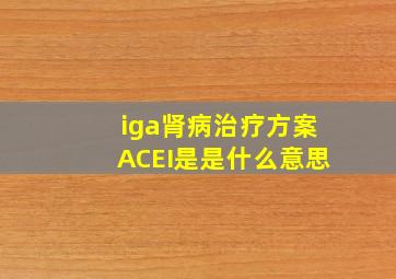 iga肾病治疗方案ACEI是是什么意思