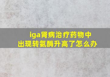 iga肾病治疗药物中出现转氨酶升高了怎么办