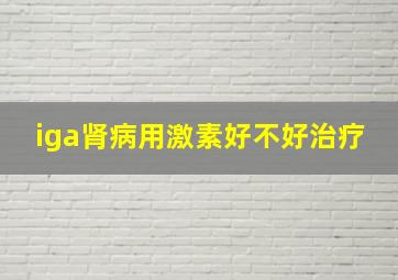 iga肾病用激素好不好治疗