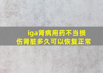 iga肾病用药不当损伤肾脏多久可以恢复正常