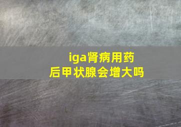 iga肾病用药后甲状腺会增大吗