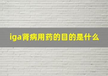 iga肾病用药的目的是什么