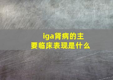 iga肾病的主要临床表现是什么