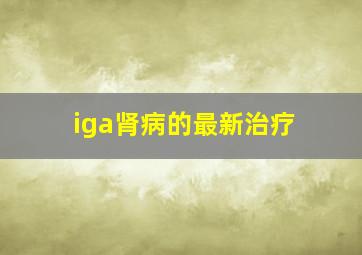 iga肾病的最新治疗