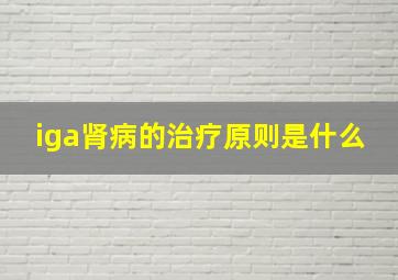 iga肾病的治疗原则是什么