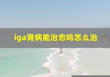 iga肾病能治愈吗怎么治