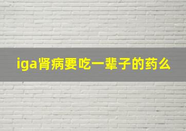 iga肾病要吃一辈子的药么