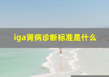 iga肾病诊断标准是什么