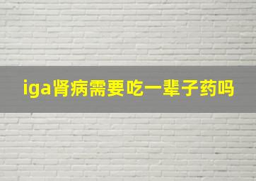 iga肾病需要吃一辈子药吗