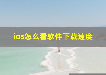 ios怎么看软件下载速度