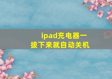 ipad充电器一拔下来就自动关机