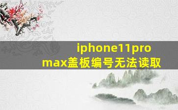 iphone11promax盖板编号无法读取