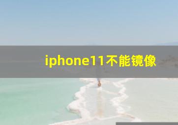 iphone11不能镜像