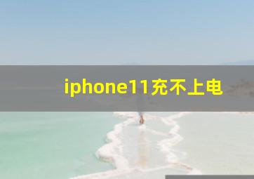 iphone11充不上电