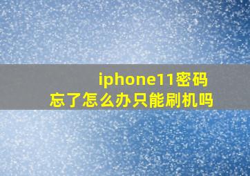 iphone11密码忘了怎么办只能刷机吗