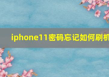 iphone11密码忘记如何刷机